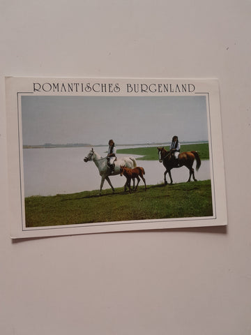 AK Romantisches Burgenland. Motiv im Seewinkel.