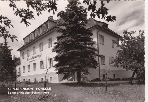 AK Schwanberg. Alpenpension Forelle.