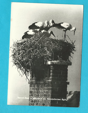 AK Storch-Nest in Mörbisch am Neusiedlersee.