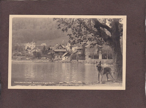 AK Traunkirchen. Salzkammergut.