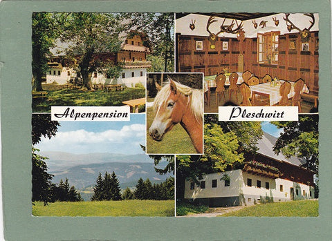 AK Rein. Alpenpension Pleschwirt.