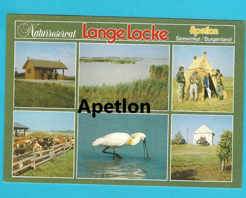 AK Apetlon. Naturreservat Lange Lacke. Seewinkel.