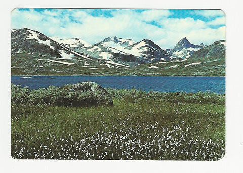 AK Tyin - Jotunheimen.