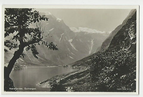 AK Naeröfjorden. Gudvangen.