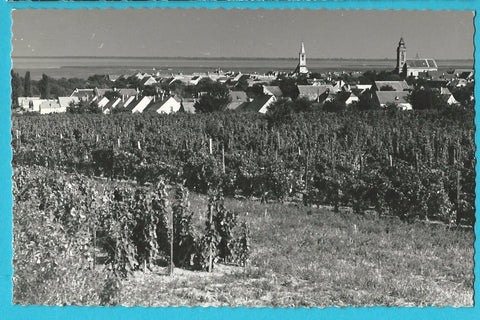 AK Freistadt Rust am Neusiedlersee.