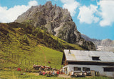 AK Mittenfeld-Alm. Mühlbach am Hochkönig.