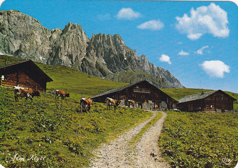 AK Motiv am Hochkönig. Alm Idyll.