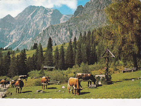 AK Alm-Idyll am Hochkönig, Mitterbergalm.