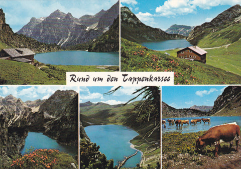 AK Rund um den Tappenkarsee.