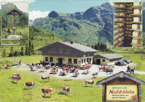 AK Naßfeld - Gastein. Hütte der Alpengenossenschaft.