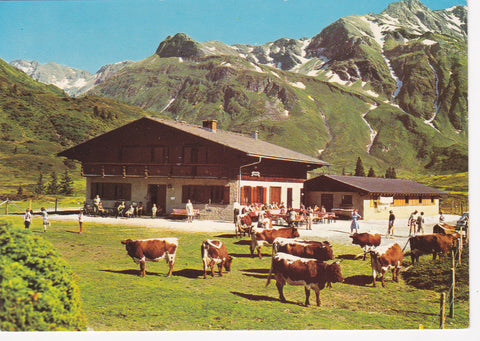 AK Naßfeld - Gastein. Hütte der Alpengenossenschaft.