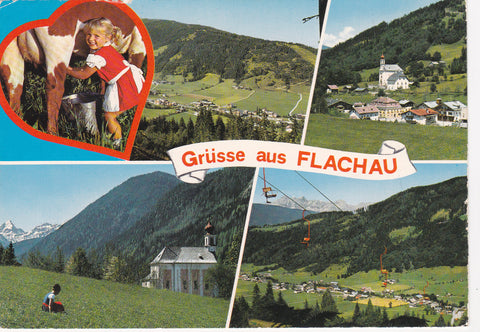 AK Grüsse aus Flachau.