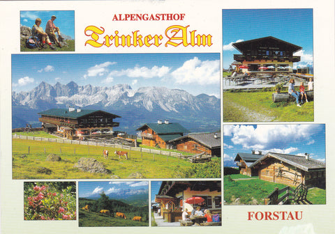 AK Forstau. Alpengasthof Trinker Alm. Familie Buchsteiner.