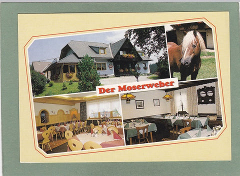 AK Gasthof Der Moserweber Fam. Nestler. Oberwald 48. Ligist.