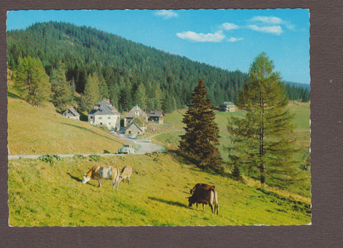 AK Alpengasthof und Fremdenpension Stüblergut. Stubalpe. Salla.