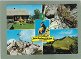 AK Teichalmgebiet. Gasthaus Tyrnaueralm Alois u. Maria Mandl. Fladnitz a.d. Teichalm.