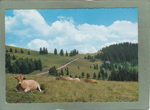 AK Weizerhütte, Sommeralm. U