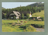 AK Teichalm-Sommeralm. Almgasthaus – Pension Holzmeister. Fam. Luttenberger.