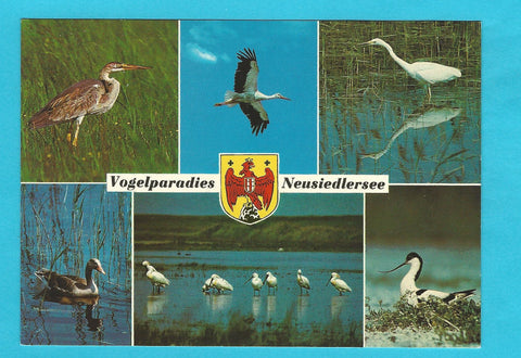 AK Vogelparadies Neusiedlersee.